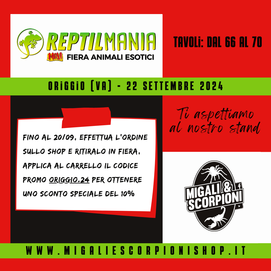 FIERA RETTILI ANIMALI ESOTICI TARANTOLE SCORPIONI MIGALI ATTREZZATURA TERRARI brescia bergamo milano ORIGGIO